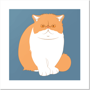 Exotic Shorthair Cat Posters and Art